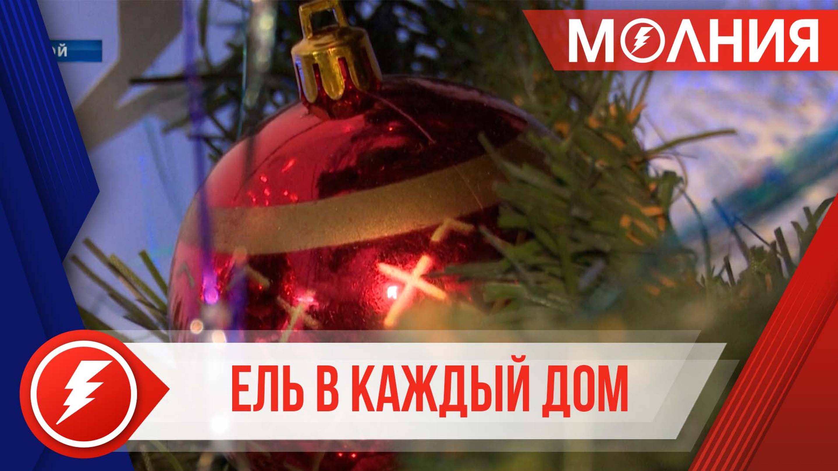 В этом году как украшать ёлку решает змея