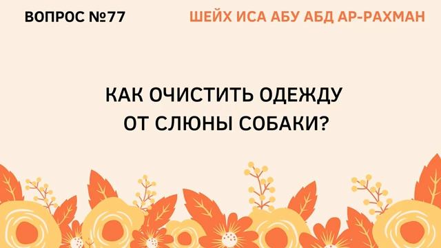 77. Как очистить одежду от слюны собаки  Шейх Иса Абу Абдуррахман