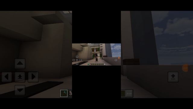 1000047301.mp4