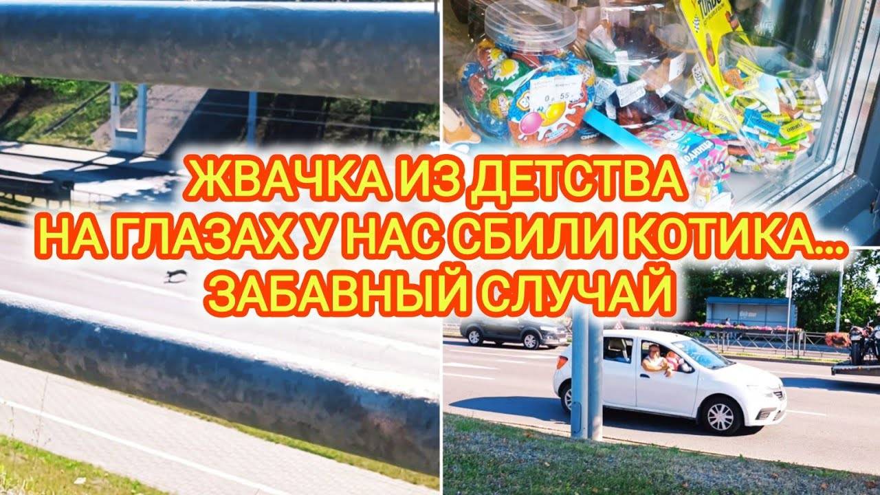 VLOG | ФЛЕШБЭКИ ИЗ ДЕТСТВА | НА ГЛАЗАХ У НАС СБИЛИ КОТИКА... | ЗАБАВНЫЙ СЛУЧАЙ