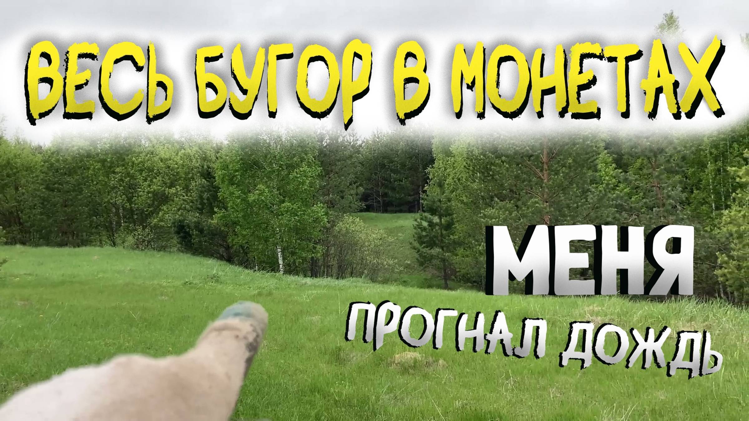 Короткий коп под дождём. На монетном бугре.