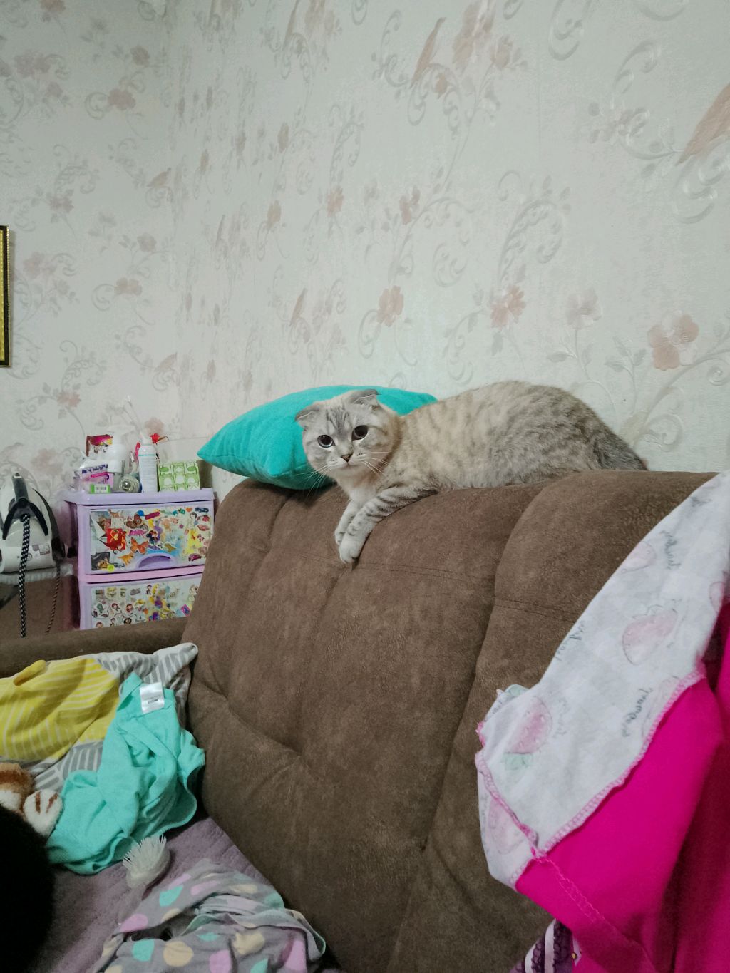 я и дракон