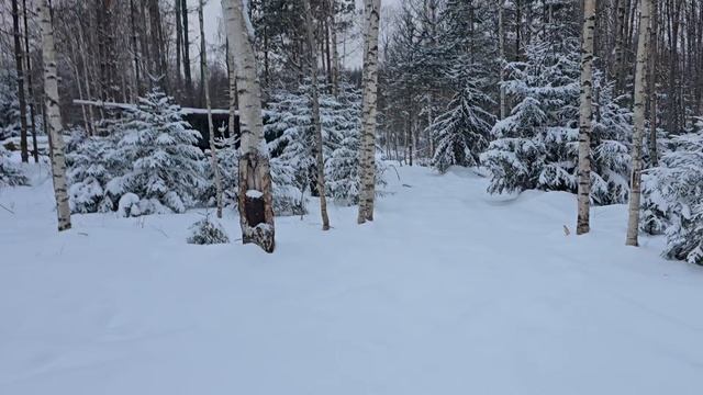 Пруды в Карелии. Зачем?!!