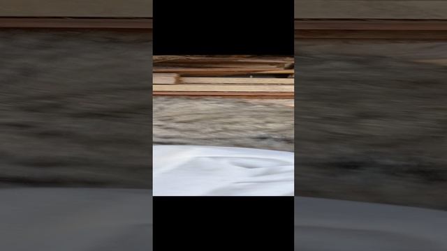 Толян #####