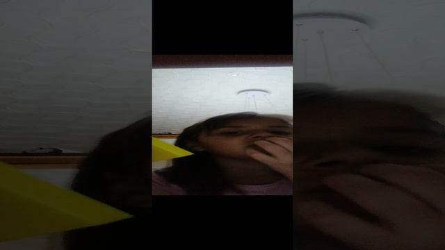 VID_20241218_170954.mp4