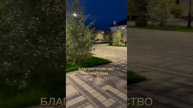 FREEDOM - ваш партнер в строительстве новогоднего чуда!