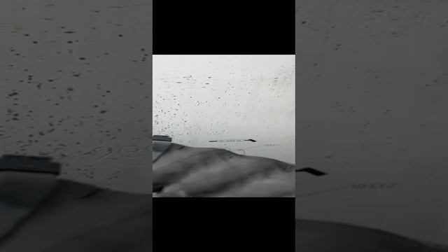 Заводской номер на МИНИ ПОГРУЗЧИКАХ WECAN