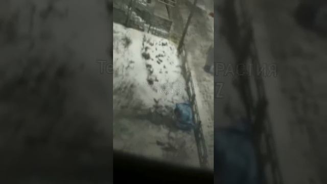 Екатеринбурге алжирский студент пришёл в гости к девушке и выпал из окна.
