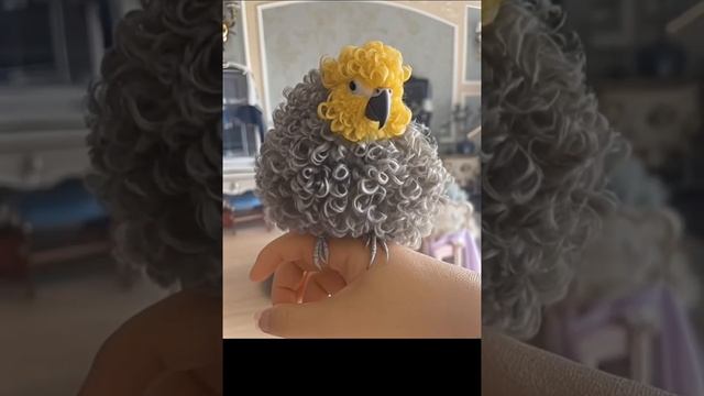 petal_20241218_101213.mp4