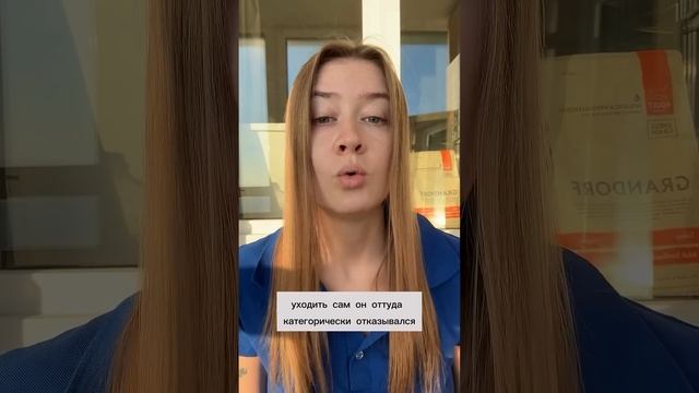 inessa kolpakova   Хорошо, что хоть на одном диване полежал, а не на всех сразу😂#03 #скорая #смп