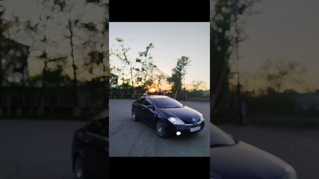 2024-11-15-211016095.mp4