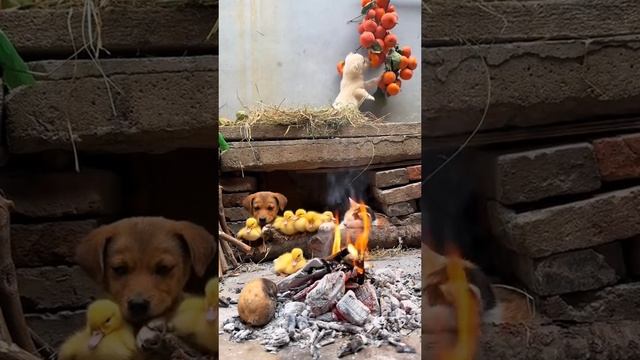 мои тимейты