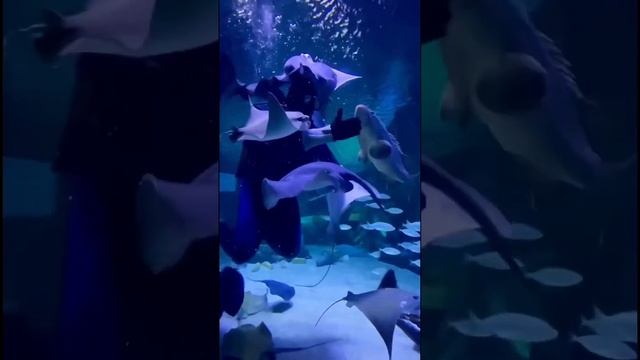 Океанариум в Анталье