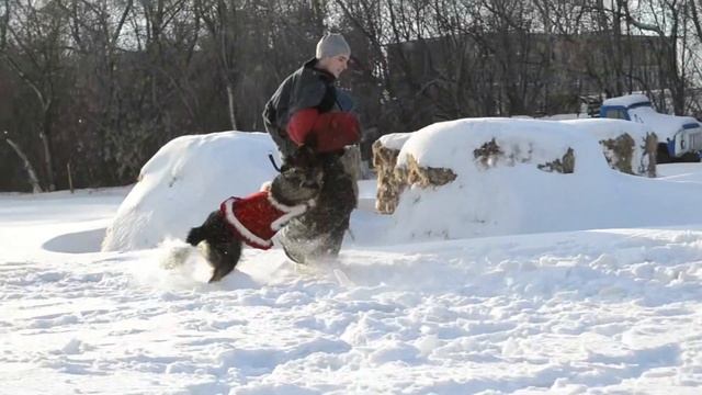 Моя любимая Снегурочка