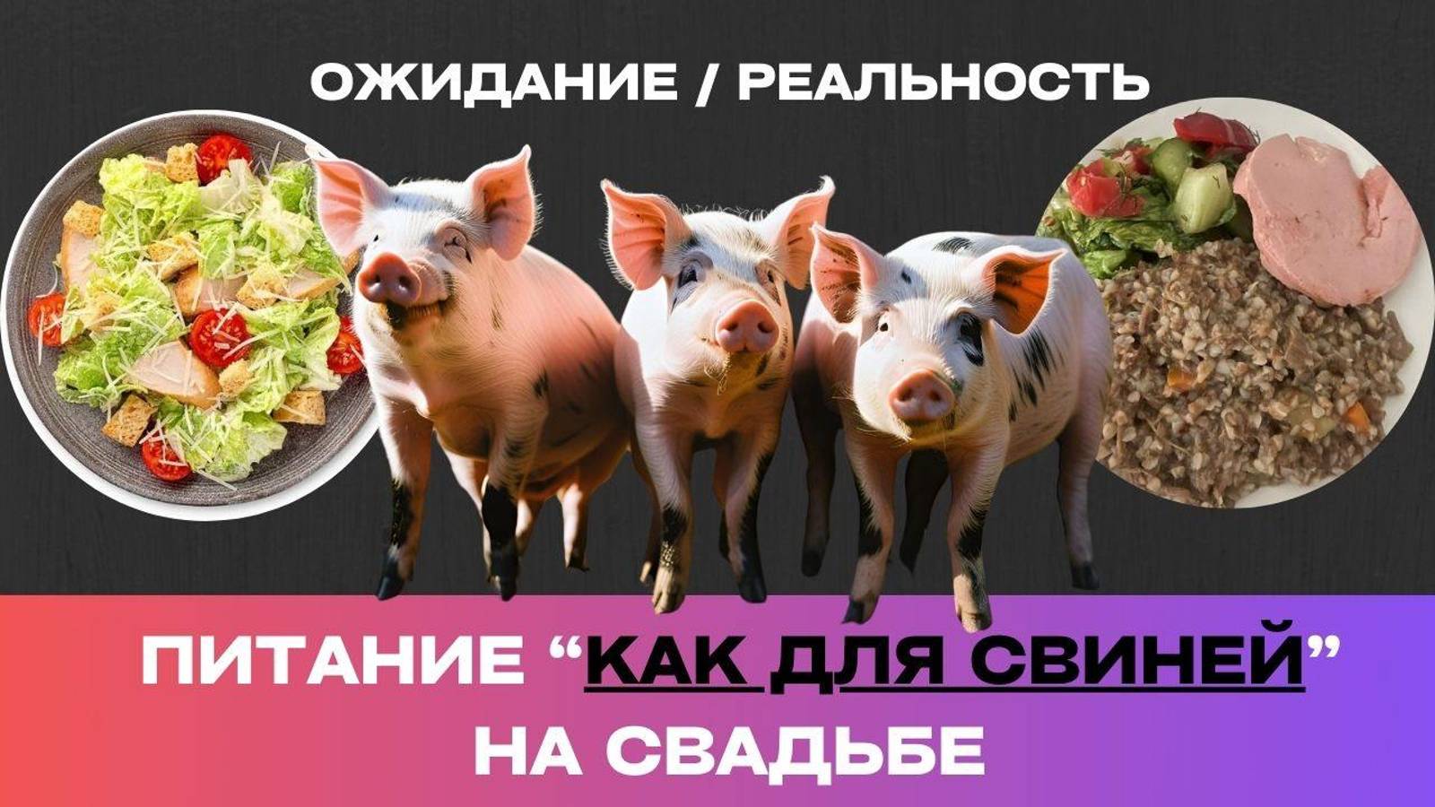Это просто шок! Питание для подрядчиков от площадки как для свиней.