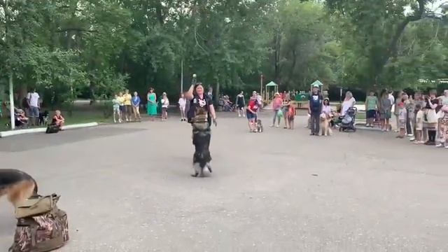 Кусочек показательных выступлений☺️❤️