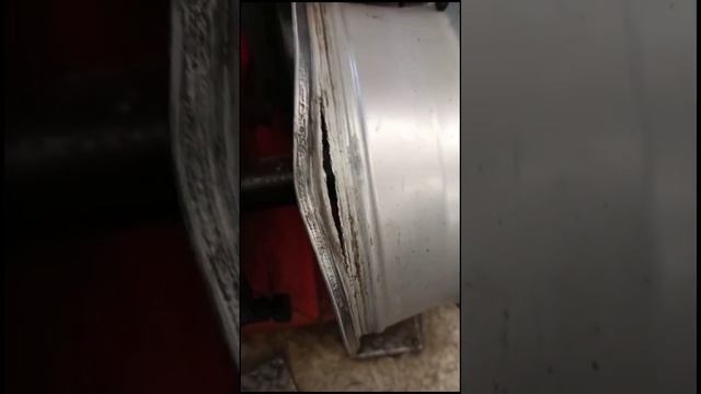 1000017653.mp4