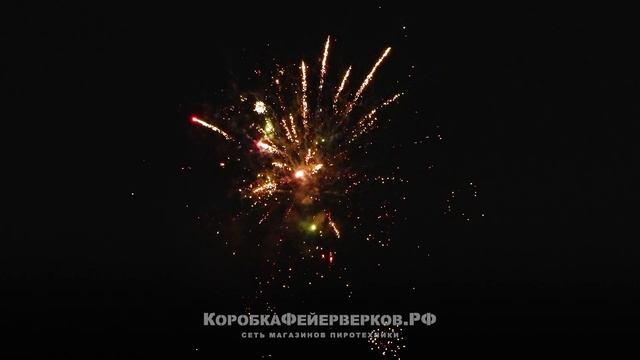 Батарея салютов HOLLYWOOD 100х25мм