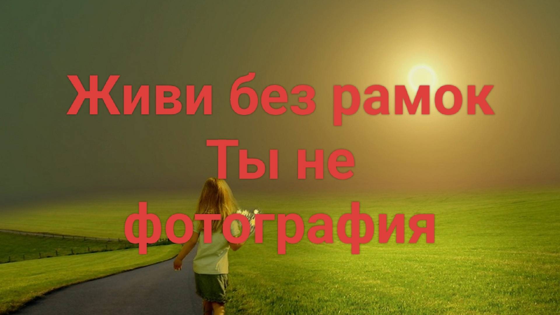 Жизнь как есть, без рамок.Кабанчики на привале.Обещанного три года ждут!