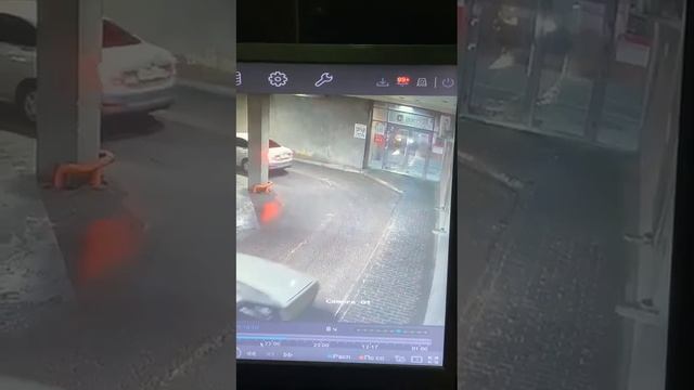 «Тойота» на скорости впечатала в стену «Ладу» в Саранске: водитель погиб на месте