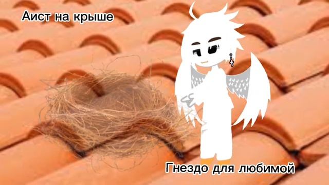 Клип ✨[Аист на крыше]✨