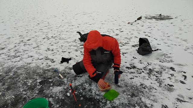 Мама щука на озере  Всеволожск