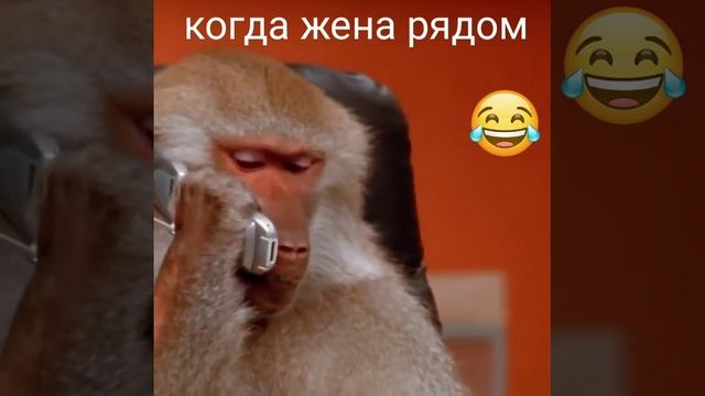 Жена рядом