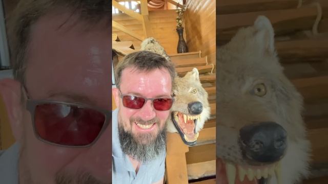Мы с тобой одной крови, ты и я!