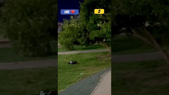 Arrma Notorious backflips. #rc #arrma #nizhnynovgorod