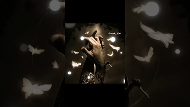 1000203942.mp4