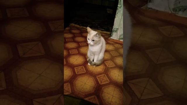 Всё бесит)))