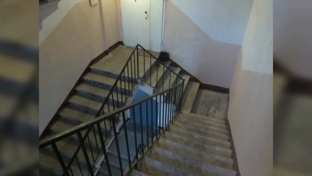Фактория - Эти лестницы придумал сумасшедший.

#Развлекательно
#Фактория