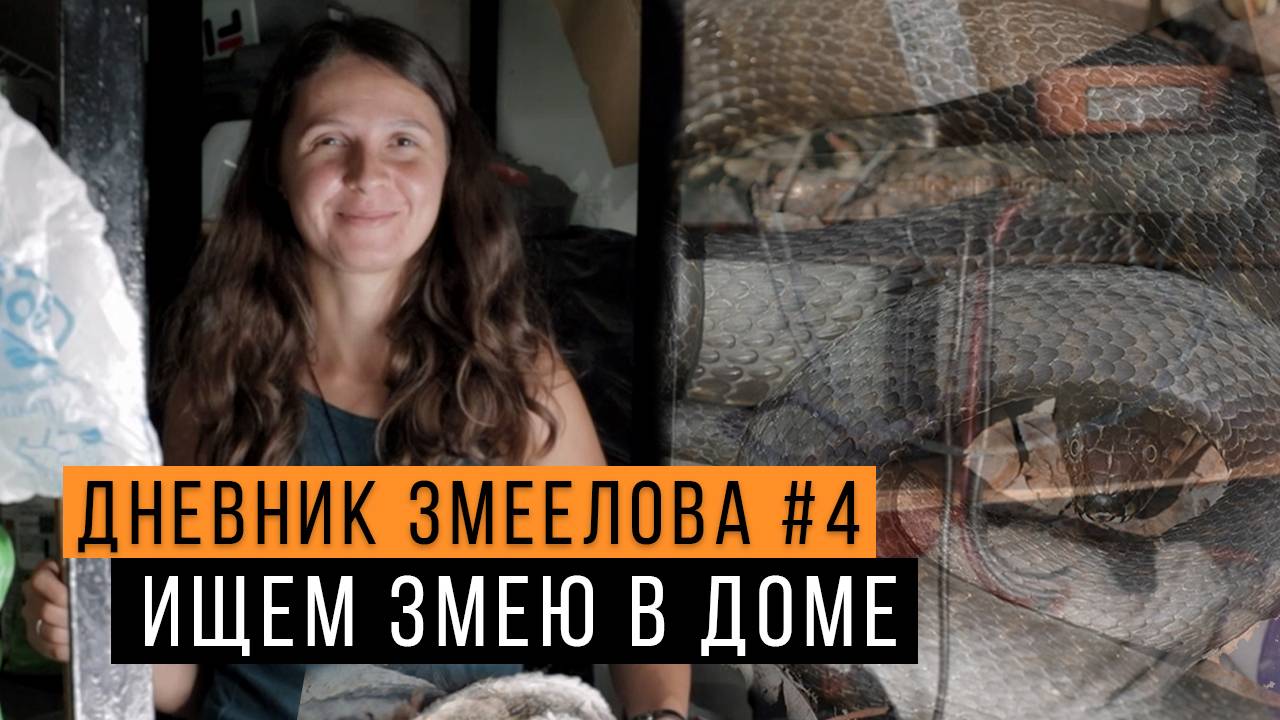 Ищем ЗМЕЮ в жилом ДОМЕ! - Дневник змеелова #4 / Змеелов - ученый