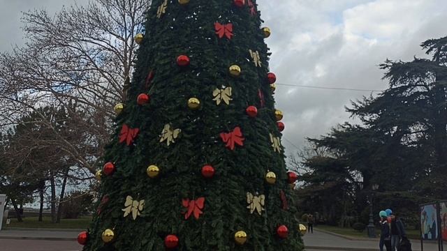 Зимний город. Розы и уточки