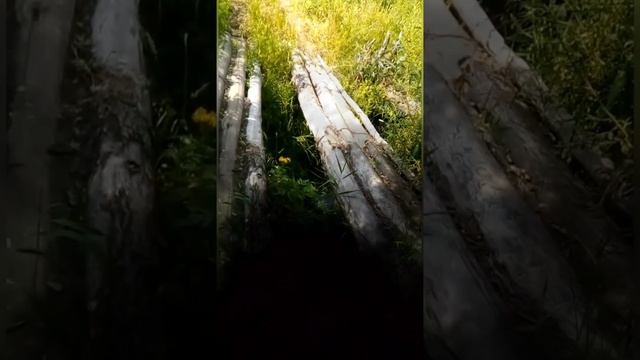 Анонс.
