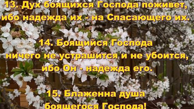 34.  Сирах