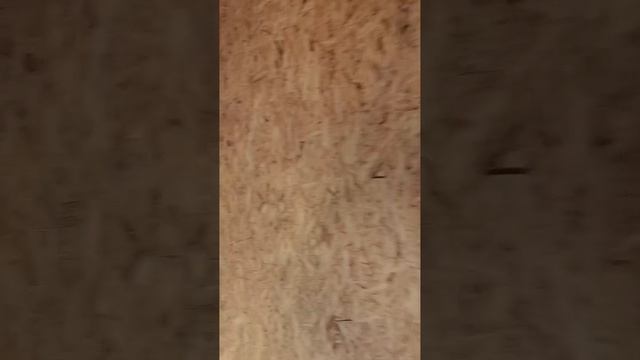 YouCut_20241106_093258197