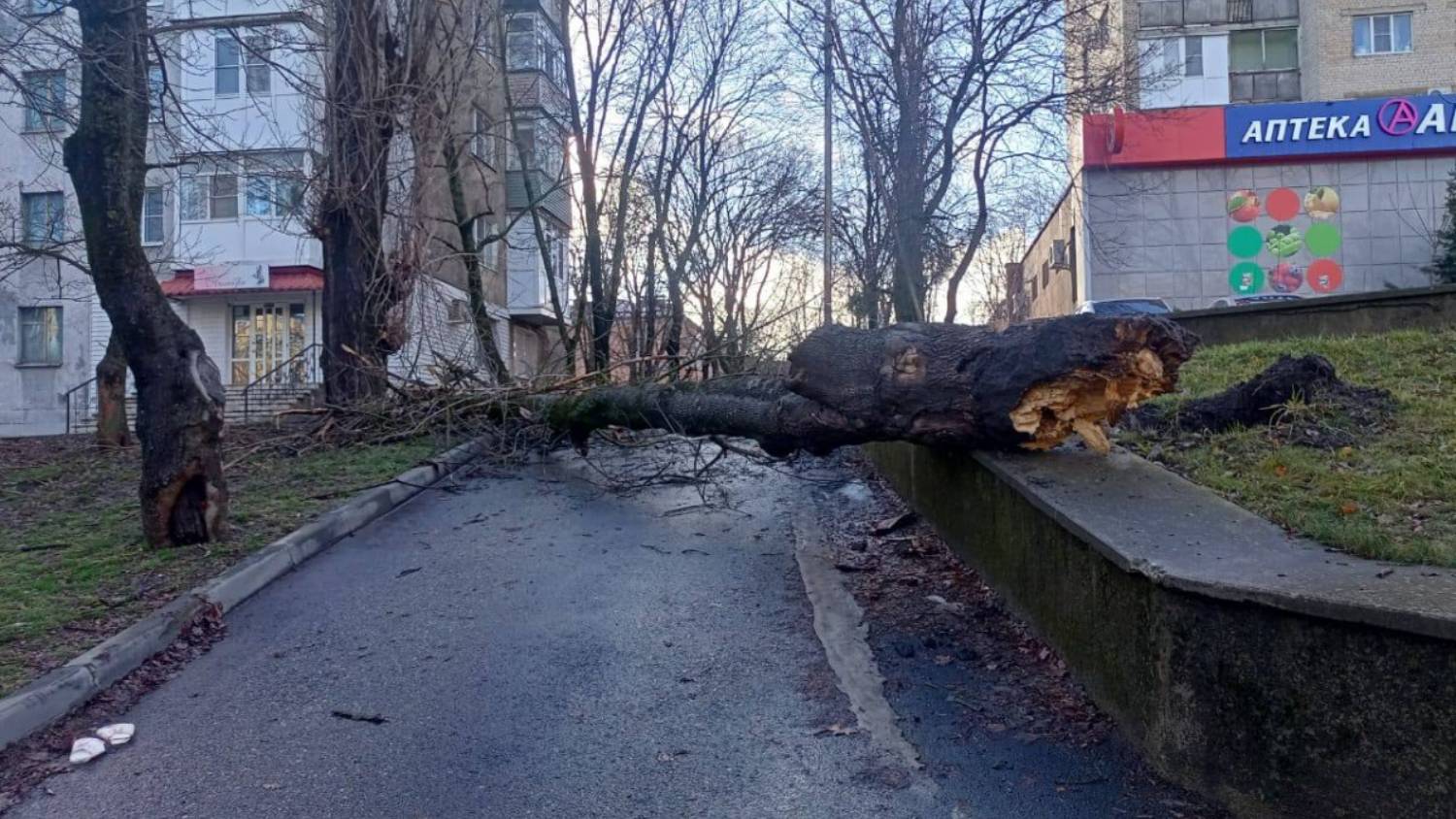 Ураганный ветер натворил немало бед на Ставрополье
