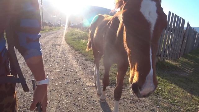 Весь Байкал поход налегке в августе. Вступление. 1 день!