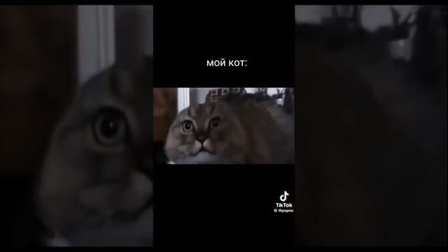 #аркейн