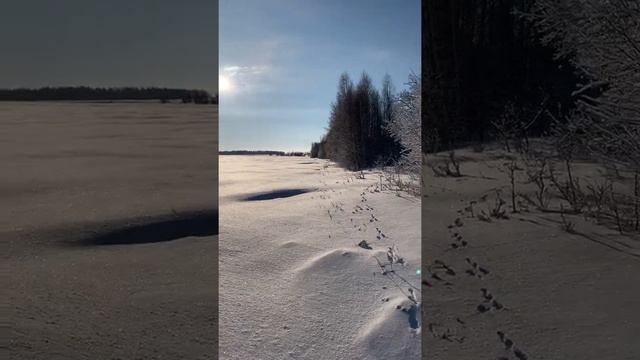 Охота на зайца в Башкирии