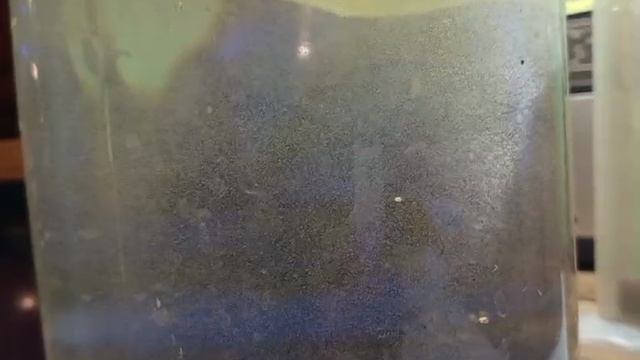 Просветление