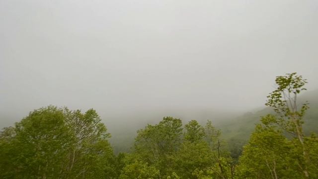 КАМЧА 20.24  ||  ТИЗЕР