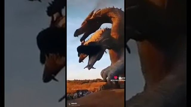 1000032778.mp4