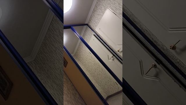 scene_output.mp4