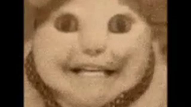 кот пердот