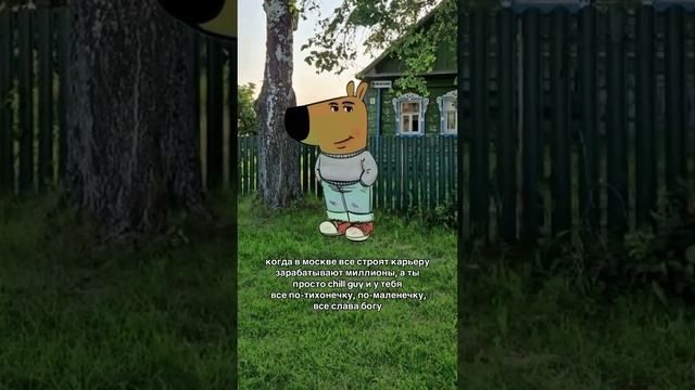 смешные видео