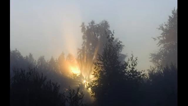 Весенний рассвет