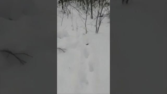 1000025671.mp4