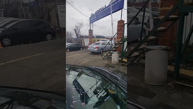 Красавчик  ALLION 2014 год